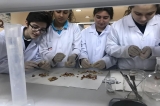 Okyanus Kolejleri Bilimsel Proje Çalışması Yürüten 657 Öğrencisiyle Türkiye Rekoru Kırdı