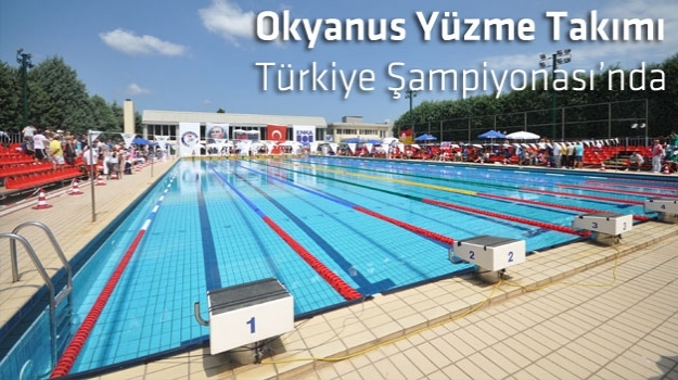 Türkiye Yüzme Şampiyonası