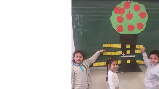 Ataşehir Okyanus 1.Sınıf Öğrencileri Ağaçtan Sayıları Topladılar