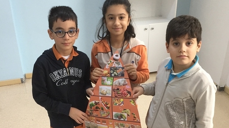 Bahçeşehir Okyanus Koleji Üstün Zekâlılar Ve Yetenekliler İlkokulu 4-D Sınıfı Besin Piramidi Yaptı.