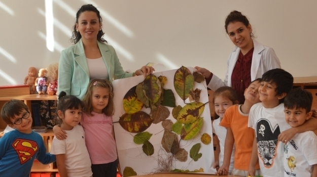 Antalya Okyanus Koleji Okul Öncesi Güneş Grubu Sonbahar Ağacı Yaptı