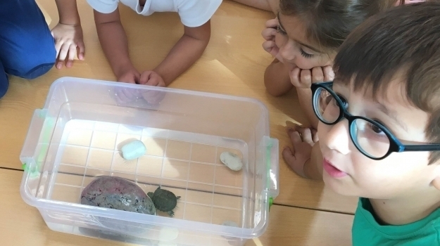 Antalya Okyanus Okul Öncesi Güneş Grubuna Sevimli Kaplumbağa Ziyarete Geldi