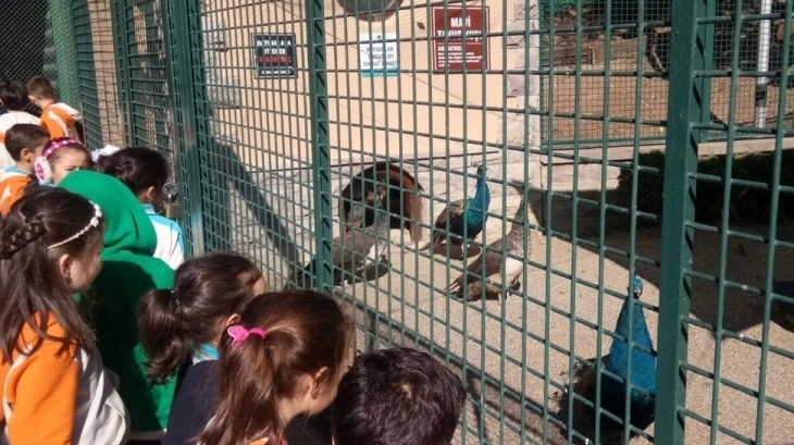 1.Sınıf Öğrencileri 'Evcil Hayvanlar Parkı' Gezisinde