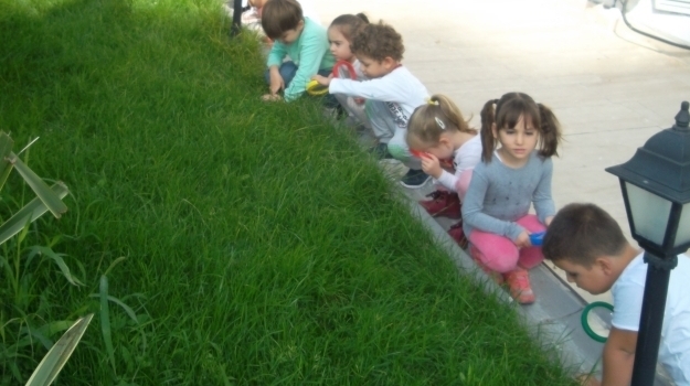 Halkalı Okul öncesi Yunuslar Grubu Çevre Gezisinde