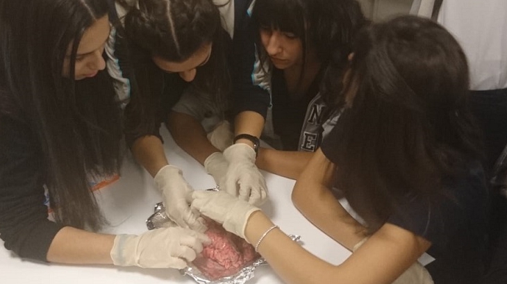 İncek Okyanus Kolejinde Sınıflar Beynin Yapısını Keşfediyor!