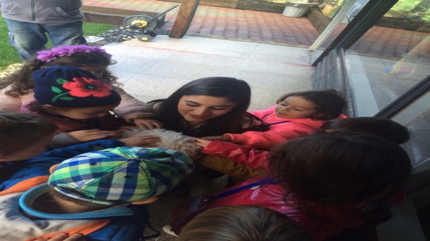 Kemerburgaz Okyanus Koleji Okul Öncesi Çicekler Ve Yunuslar Grubu Duygu Pet Hotel Gezisinde