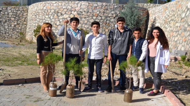 11.sınıf Öğrencileri Okul Bahçesine Ağaç Fideleri Diktiler