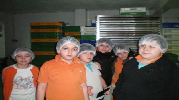 4. Sınıflar, Kantindeki Yiyeceklerin Üretim Tesisinde