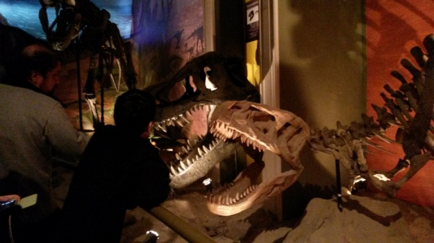 Jurassic Land'da Dinozor Çağına Yolculuk