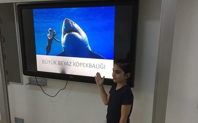 Bahçeşehir Kampüsü Üstün Zekâlılar İlkokulu 4-D Sınıfı Soyu Tükenme Tehlikesi Yaşayan Hayvanları Tanıttılar