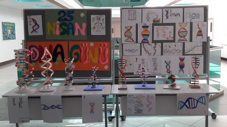 İncek Okyanus Kolejinde DNA Günü Kutlandı