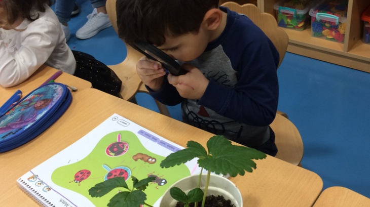 Okul Öncesi Çiçekler Sınıfı İngilizce Dersinde Doğa Öğelerini Öğreniyor
