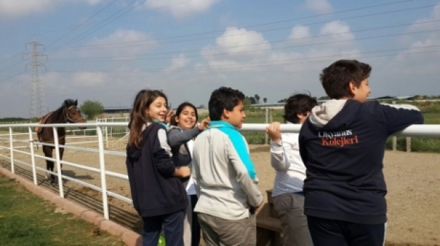 Adana Okyanus Ortaokulu At Çiftliğinde