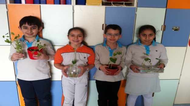 Ataşehir Okyanus 3. Sınıf Öğrencileri Bitki Yetiştiriyor