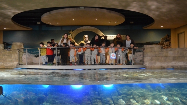 Bahçelievler Okyanus Okul öncesi Balıklar ve İnciler Grubu Öğrencileri İstanbul Florya Akvaryumda