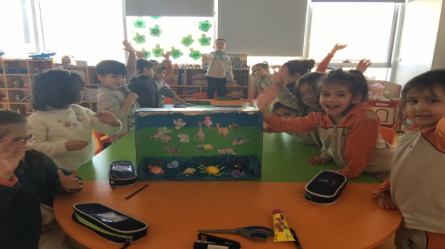 Beykent Okyanus Koleji Okul Öncesi Balıklar Sınıfı Hayvanlar Proje Etkinliğinde ;v