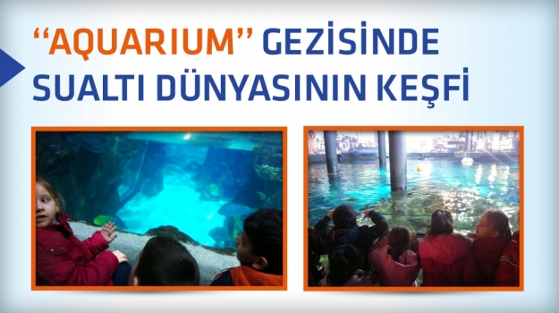 Miniklerin "Aquarium" Gezisi
