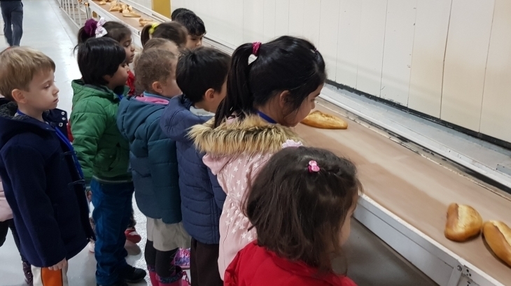 Eryaman Okyanus Koleji Okul Öncesi Kademesi Halk Ekmek Fabrikası Gezisinde