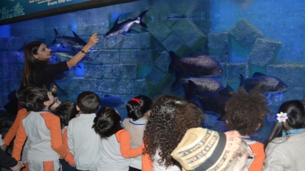 Fatih Okyanus Koleji Okul Öncesi Öğrencileri Wildpark Gezisinde Egzotik Canlıları Gözlemliyor